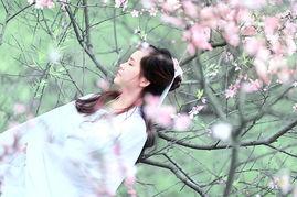 早春 在线观看,春意盎然，在线感受生命复苏之美  第3张